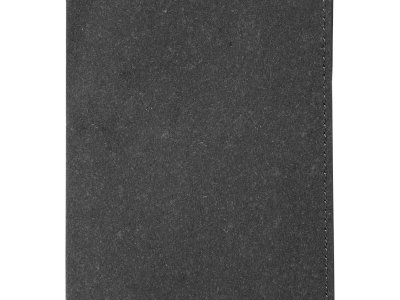 ROAR Navlaka za pasoš